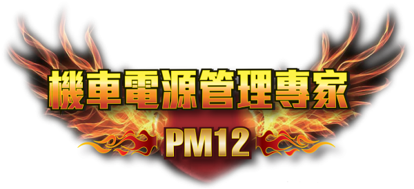 PM12